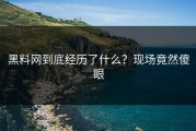 黑料网到底经历了什么？现场竟然傻眼