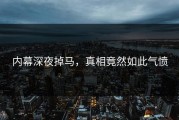 内幕深夜掉马，真相竟然如此气愤
