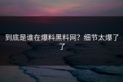 到底是谁在爆料黑料网？细节太爆了了