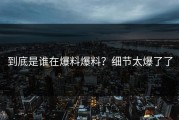 到底是谁在爆料爆料？细节太爆了了
