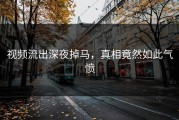 视频流出深夜掉马，真相竟然如此气愤