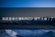 到底是谁在爆料网红？细节太爆了了