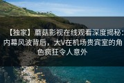 【独家】蘑菇影视在线观看深度揭秘：内幕风波背后，大V在机场贵宾室的角色疯狂令人意外