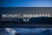 网红评论炸了，网友集体崩溃到语无伦次
