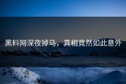 黑料网深夜掉马，真相竟然如此意外