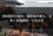 黑料网今日最热：爆料事件曝光，当事人现场揭秘，引发众怒