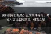 黑料网今日最热：丑闻事件曝光，神秘人现场全网热议，引发众怒