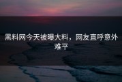 黑料网今天被曝大料，网友直呼意外难平