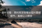 限时查看：黑料网深夜曝出猛料震撼细节，真相让人瞠目