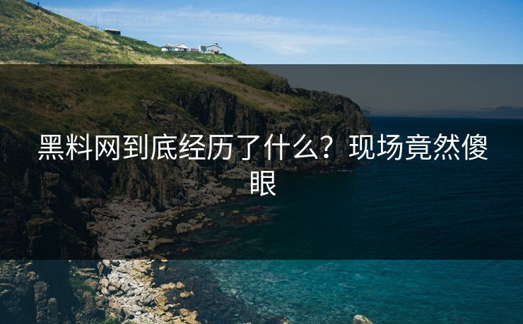 黑料网到底经历了什么？现场竟然傻眼
