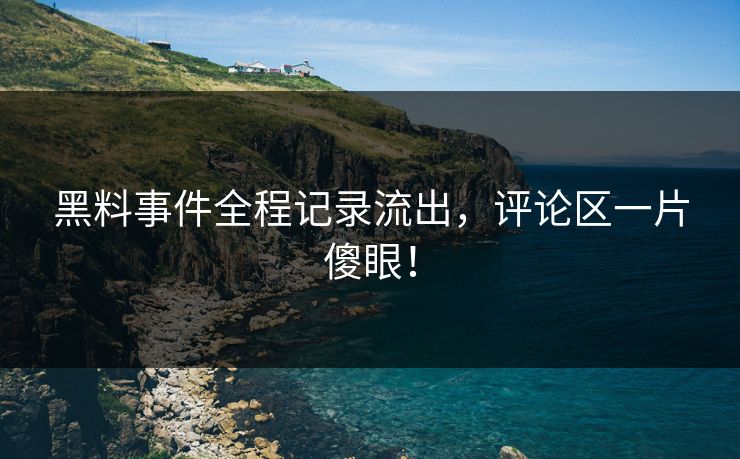 黑料事件全程记录流出，评论区一片傻眼！
