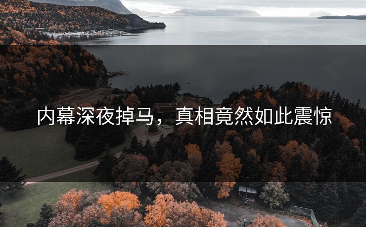 内幕深夜掉马，真相竟然如此震惊