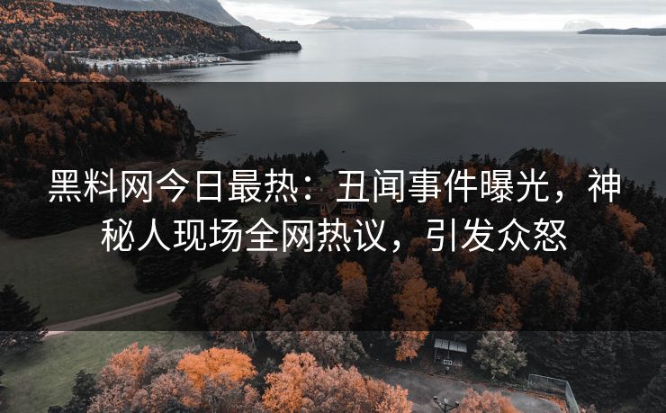 黑料网今日最热：丑闻事件曝光，神秘人现场全网热议，引发众怒