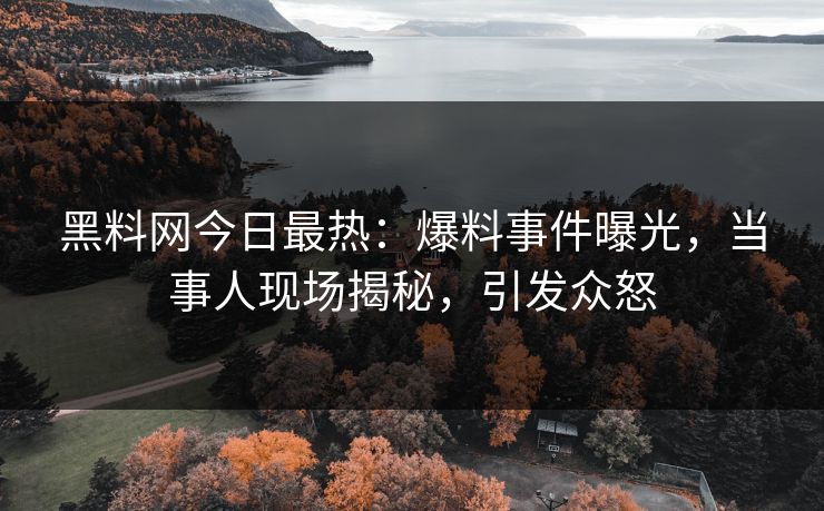黑料网今日最热：爆料事件曝光，当事人现场揭秘，引发众怒