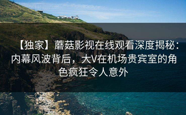 【独家】蘑菇影视在线观看深度揭秘：内幕风波背后，大V在机场贵宾室的角色疯狂令人意外