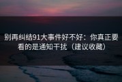 别再纠结91大事件好不好：你真正要看的是通知干扰（建议收藏）