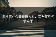 黑料事件今天被曝大料，网友直呼气愤难平