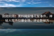 刚刚刚刚！黑料网实锤花絮事件，神秘人现场引爆全场，评论数破万
