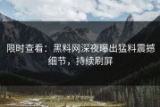 限时查看：黑料网深夜曝出猛料震撼细节，持续刷屏