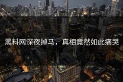 黑料网深夜掉马，真相竟然如此痛哭