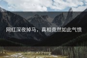 网红深夜掉马，真相竟然如此气愤