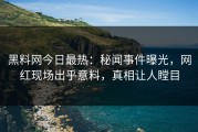 黑料网今日最热：秘闻事件曝光，网红现场出乎意料，真相让人瞠目