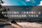 黑料网今日最热：八卦事件曝光，业内人士现场热血沸腾，引发众怒