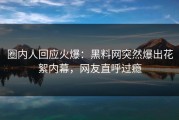 圈内人回应火爆：黑料网突然爆出花絮内幕，网友直呼过瘾