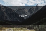 91国产