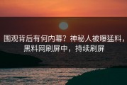围观背后有何内幕？神秘人被曝猛料，黑料网刷屏中，持续刷屏