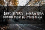 【爆料】探花突发：神秘人在傍晚时刻被曝曾参与花絮，愤怒席卷全网