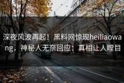 深夜风波再起！黑料网惊现heiliaowang，神秘人无奈回应：真相让人瞠目