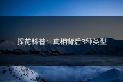 探花科普：真相背后3种类型