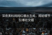 深夜黑料网网红爆出丑闻，揭秘细节引爆社交圈
