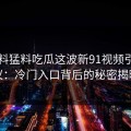 91爆料猛料吃瓜这波新91视频引起热议：冷门入口背后的秘密揭晓