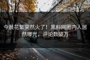 今晨花絮突然火了！黑料网圈内人居然曝光，评论数破万