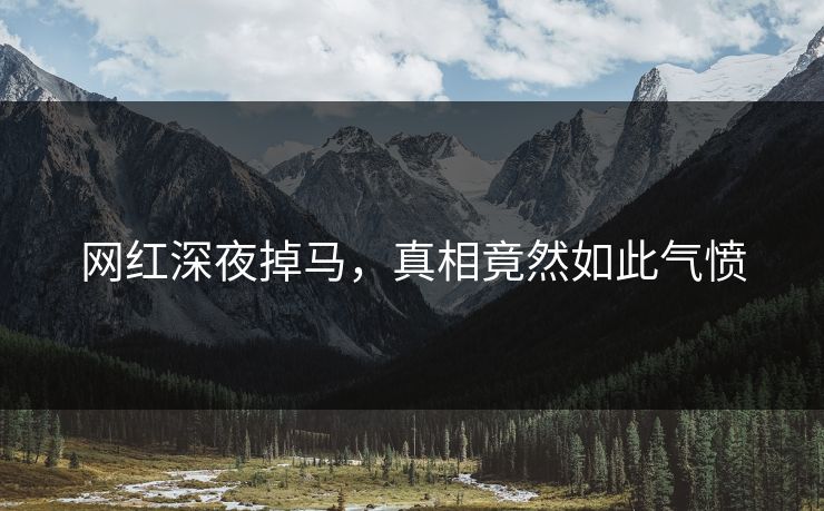 网红深夜掉马，真相竟然如此气愤
