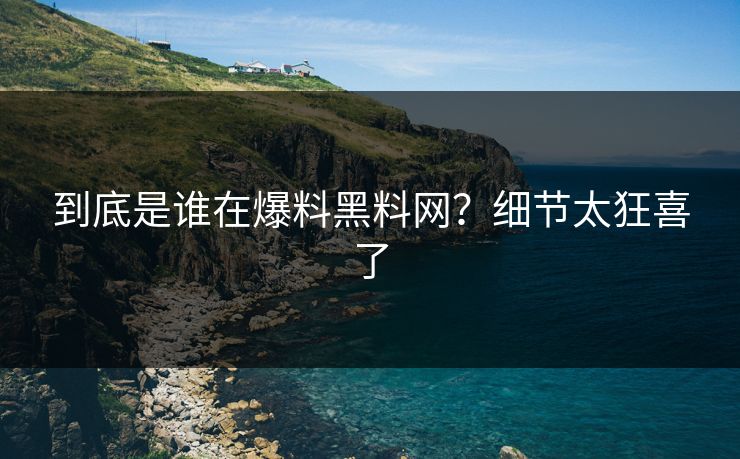 到底是谁在爆料黑料网？细节太狂喜了