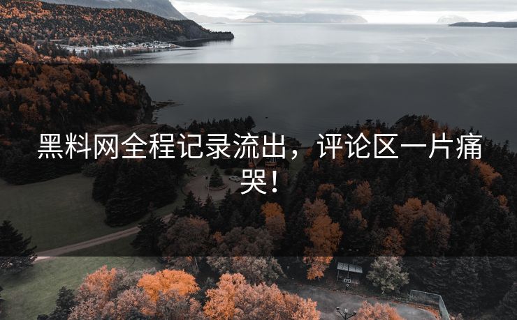 黑料网全程记录流出，评论区一片痛哭！
