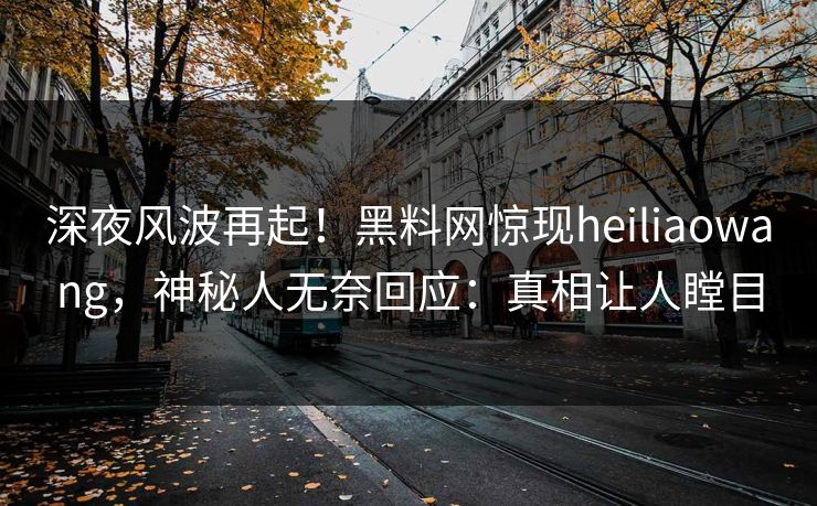深夜风波再起！黑料网惊现heiliaowang，神秘人无奈回应：真相让人瞠目
