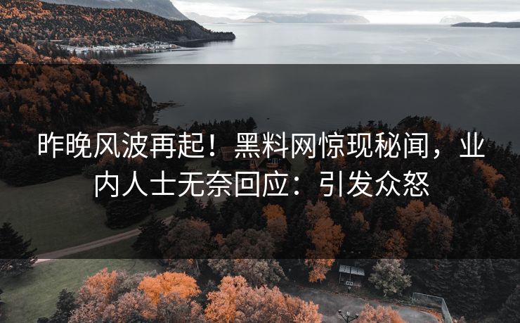 昨晚风波再起！黑料网惊现秘闻，业内人士无奈回应：引发众怒
