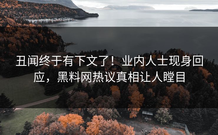 丑闻终于有下文了！业内人士现身回应，黑料网热议真相让人瞠目