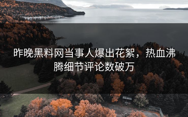 昨晚黑料网当事人爆出花絮，热血沸腾细节评论数破万