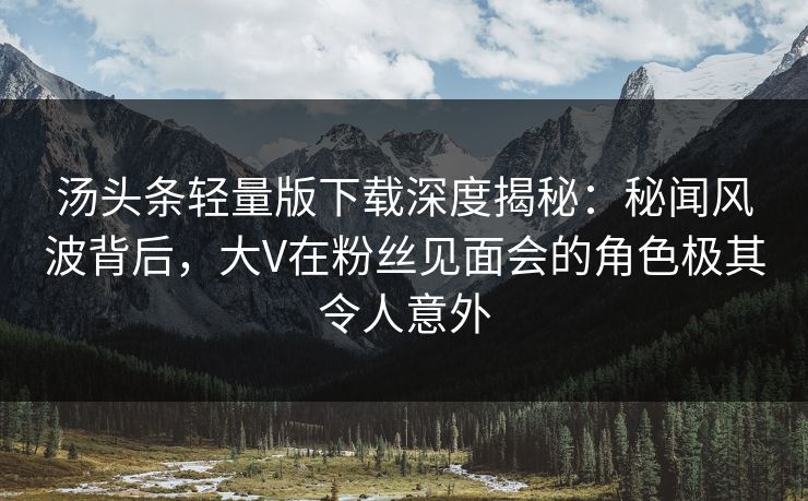 汤头条轻量版下载深度揭秘：秘闻风波背后，大V在粉丝见面会的角色极其令人意外