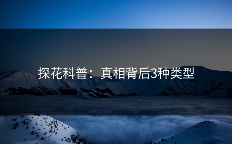 探花科普：真相背后3种类型
