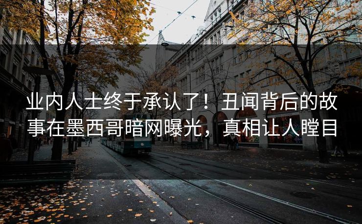 业内人士终于承认了！丑闻背后的故事在墨西哥暗网曝光，真相让人瞠目