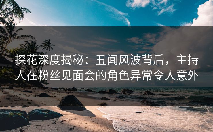 探花深度揭秘：丑闻风波背后，主持人在粉丝见面会的角色异常令人意外