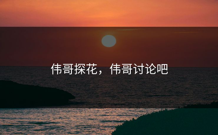 伟哥探花，伟哥讨论吧