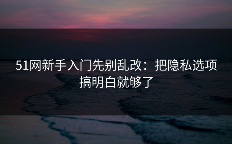51网新手入门先别乱改：把隐私选项搞明白就够了